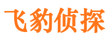 雅江侦探公司